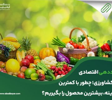  اقتصادی در کشاورزی چطور با کمترین هزینه بیشترین محصول را بگیریم 360x320