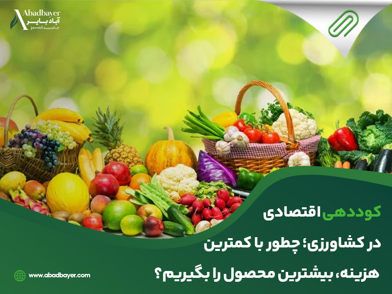  اقتصادی در کشاورزی چطور با کمترین هزینه بیشترین محصول را بگیریم