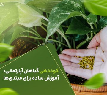 کوددهی گیاهان آپارتمانی آموزش ساده برای مبتدی ها