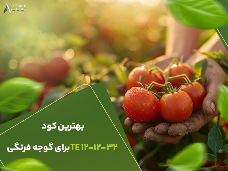 بهترین کود121232برای گوجه فرنگی