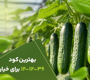 بهترین کود121236برای خیار