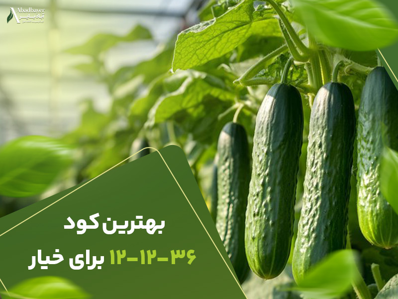بهترین کود121236برای خیار