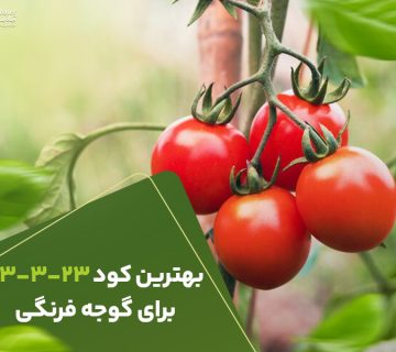 بهترین کود 23323 برای گوجه فرنگی