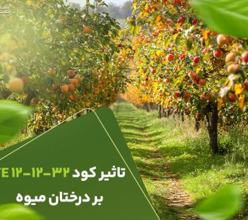 تاثیرکود121232بردرختان میوه