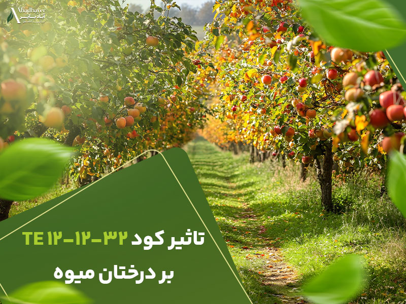 تاثیرکود121232بردرختان میوه