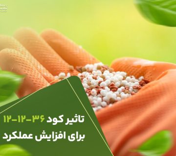 تاثیرکود121236برافزایش عملکرد