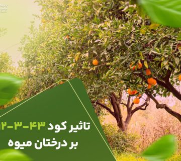 تاثیرکود12343بردرختان میوه