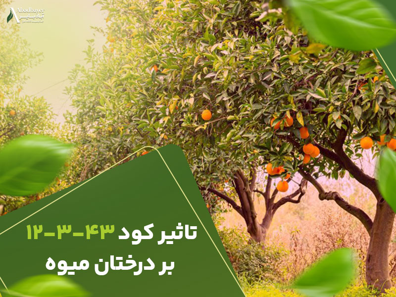 تاثیرکود12343بردرختان میوه