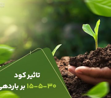 تاثیرکود15530برباردهی