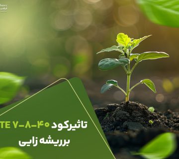 تاثیرکود7840برریشه زایی