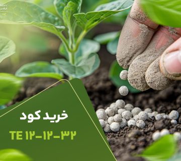 خرید کود121232