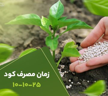 زمان مصرف کود 101025