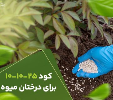 کود 101025برای درختان میوه