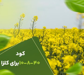 کود10840برای کلزا