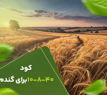کود10840برای گندم