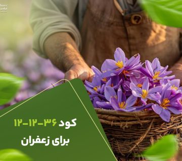 کود121236برای زعفران