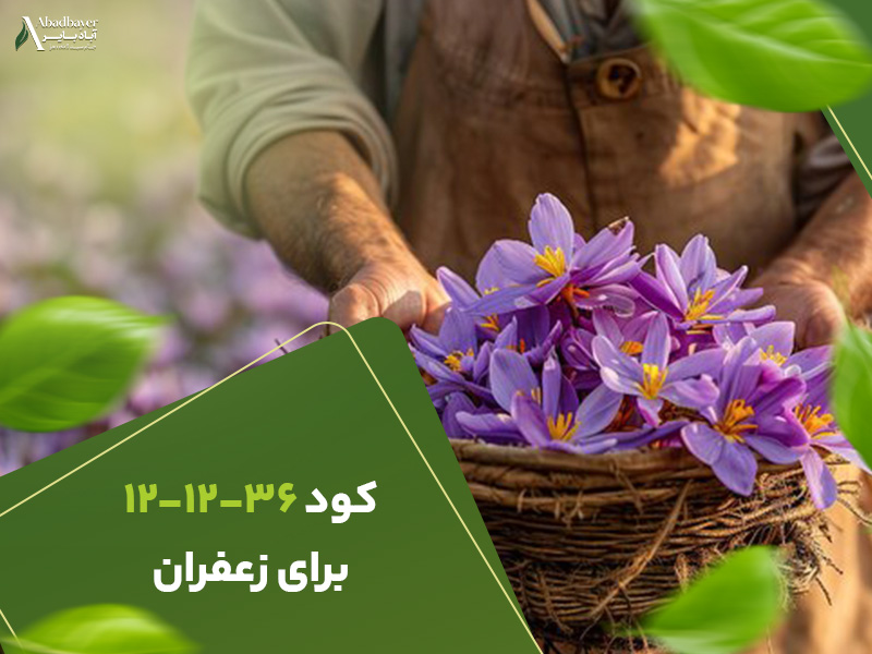 کود121236برای زعفران