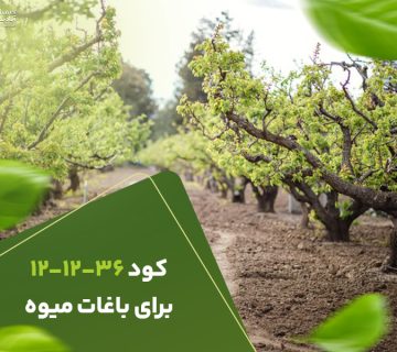 کود121236بریا باغات میوه