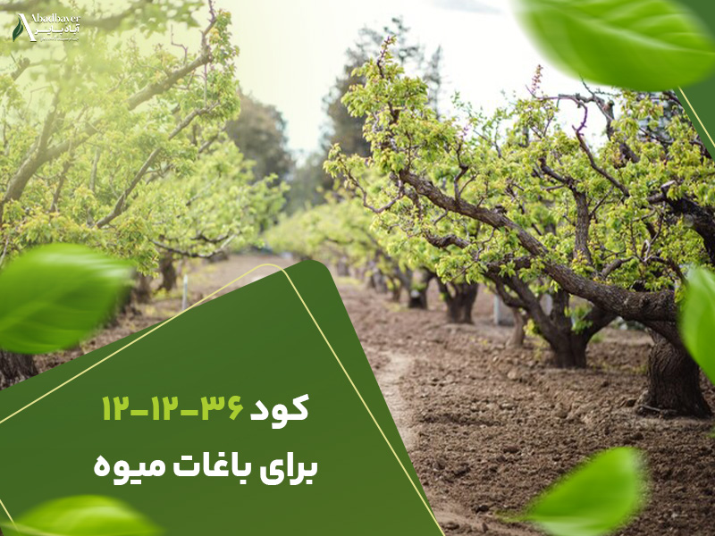 کود121236بریا باغات میوه