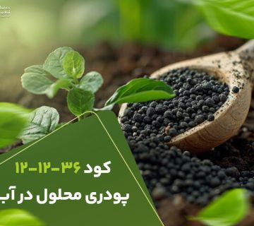 کود121236پودری محلول در آب