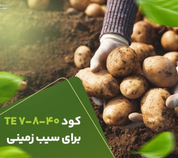 کود7840برای سیب زمینی