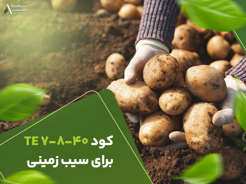 کود7840برای سیب زمینی