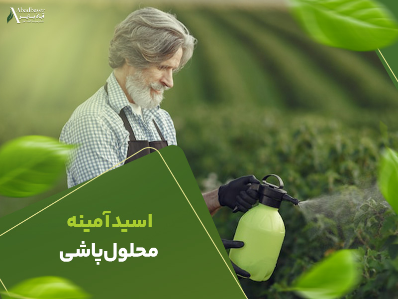 اسید امینه محلول پاشی