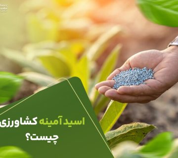 اسید امینه کشاورزی چیست