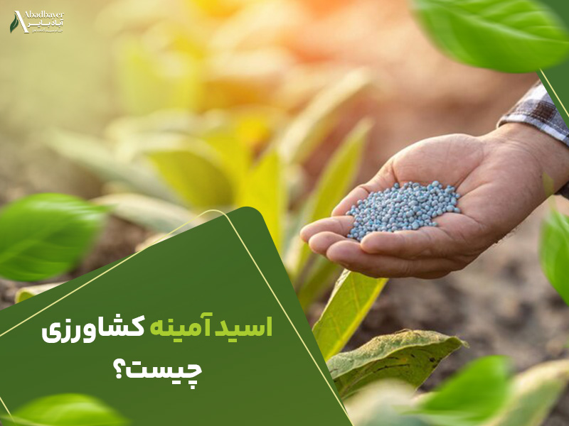 اسید امینه کشاورزی چیست