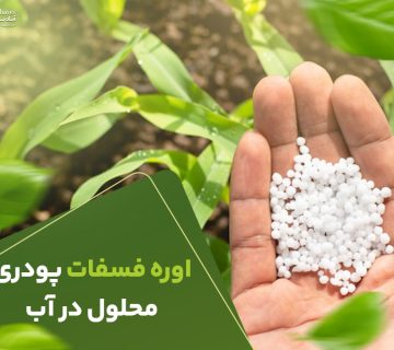 اوره فسفات پودریمحلول در اب