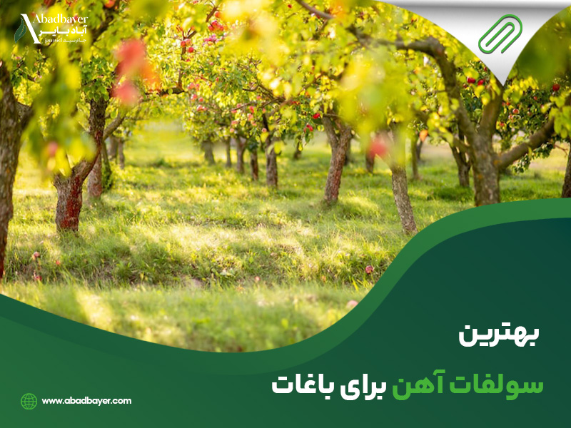 بهترین سولفات اهن برای باغات