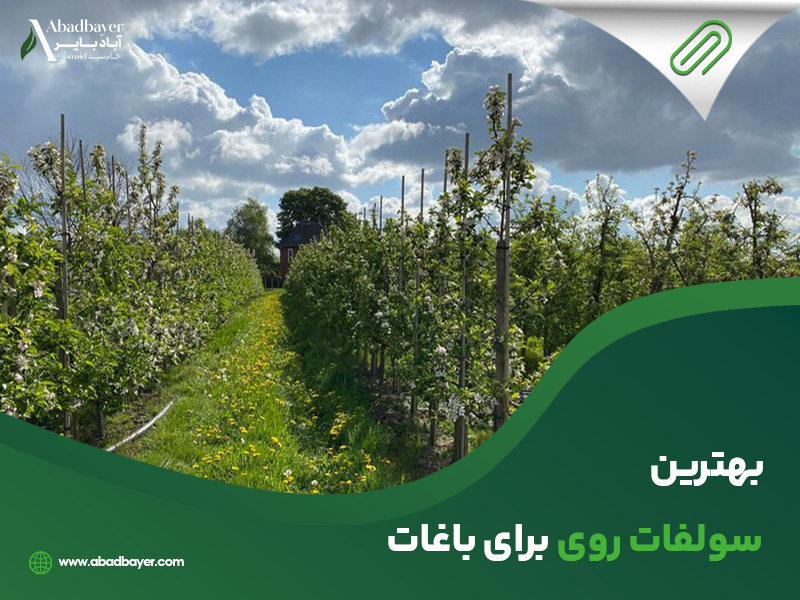 بهترین سولفات روی برای باغات