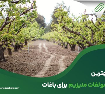 بهترین سولفات منیزیم برای باغات
