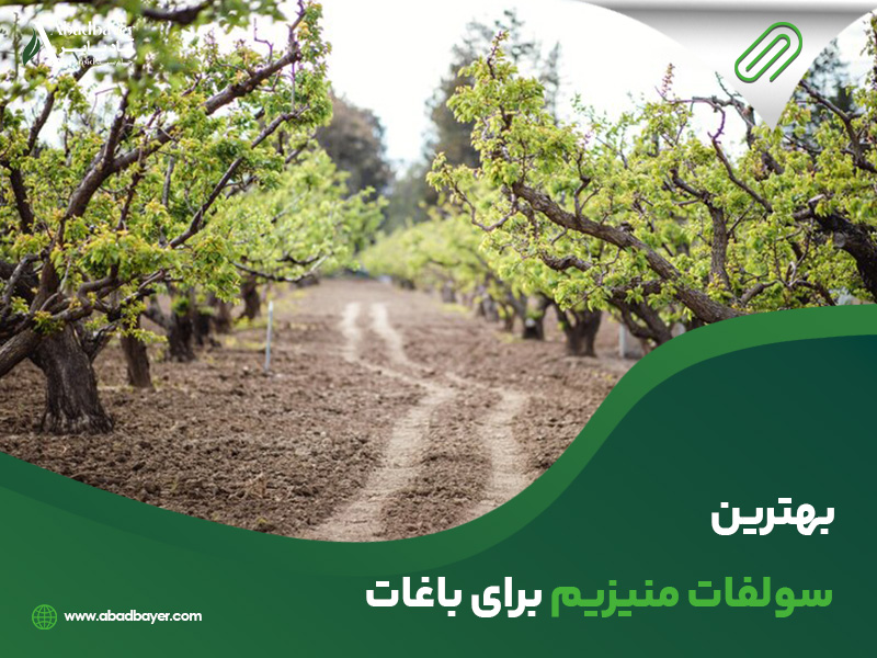 بهترین سولفات منیزیم برای باغات