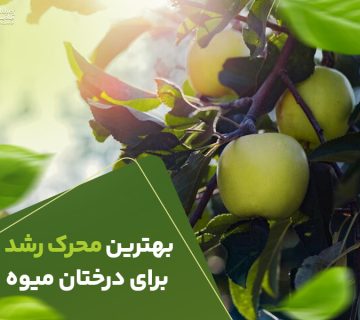 بهترین محرک رشدبرای درختان میوه
