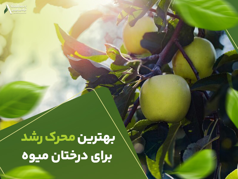 بهترین محرک رشدبرای درختان میوه