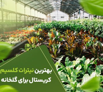 بهترین نیترات کلسیم کریستال برای گلخانه