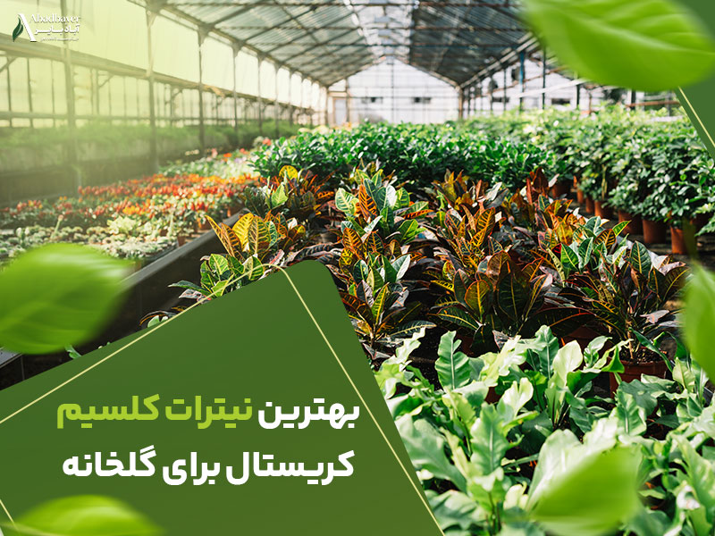 بهترین نیترات کلسیم کریستال برای گلخانه