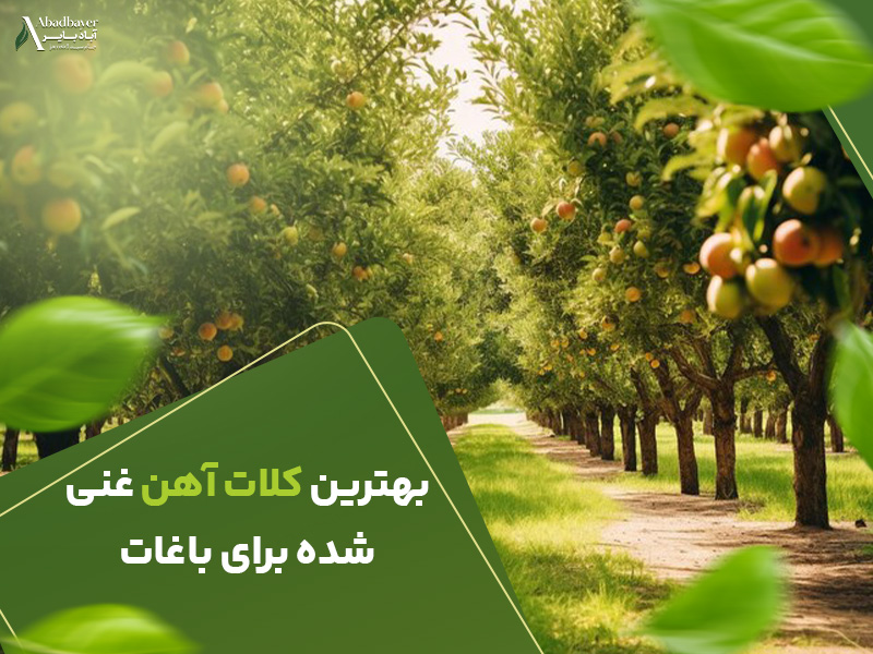 بهترین کلات اهن غنی شده برای باغات