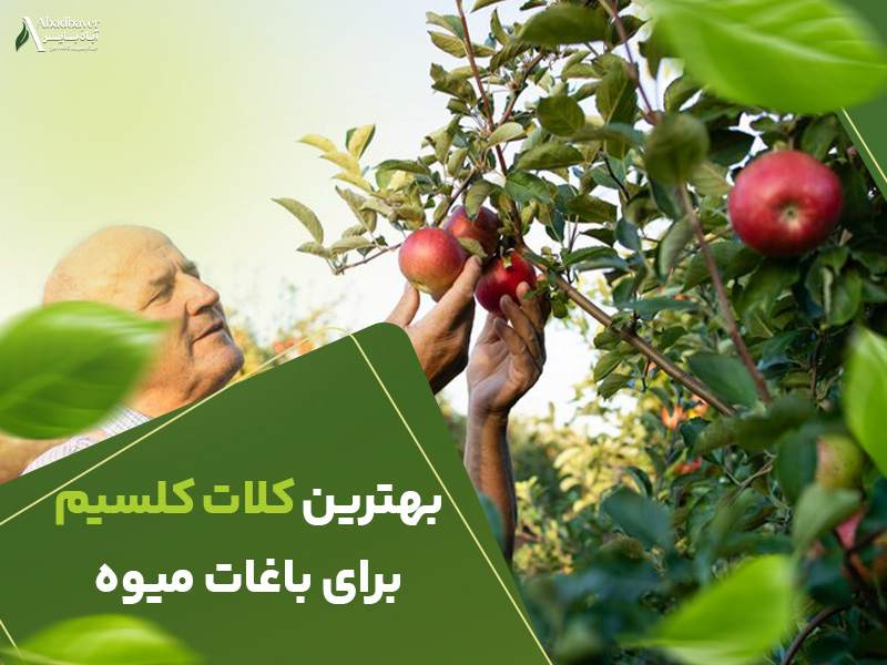 بهترین کلات کلسیم برای باغات میوه