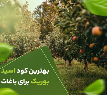بهترین کود اسیدبوریک برای باغات