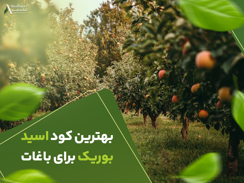 بهترین کود اسیدبوریک برای باغات