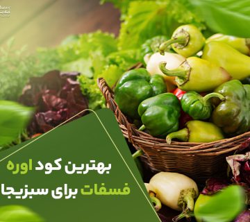 بهترین کود اوره فسفات برای سبزیجات