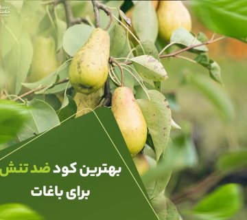 بهترین کود ضدتنش برای باغات