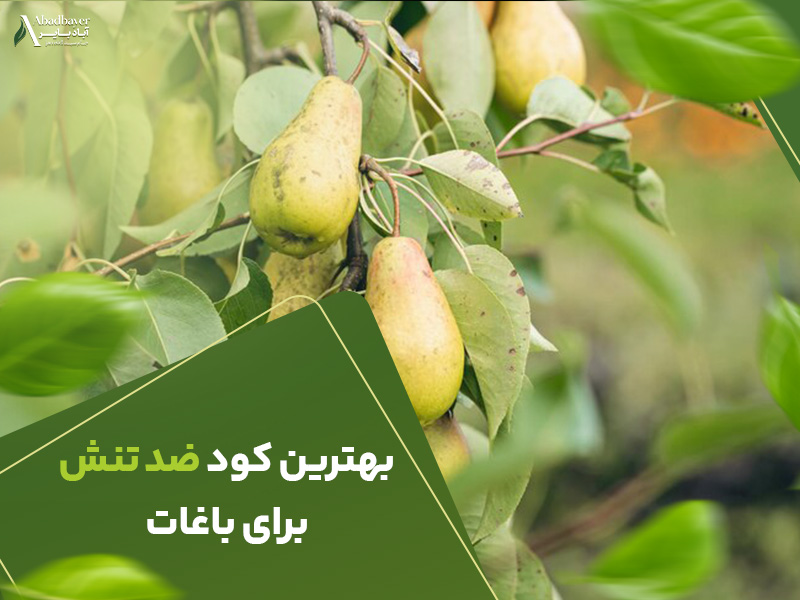 بهترین کود ضدتنش برای باغات