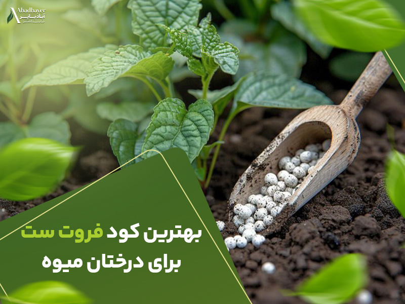 بهترین کود فروت ست برای درختان میوه