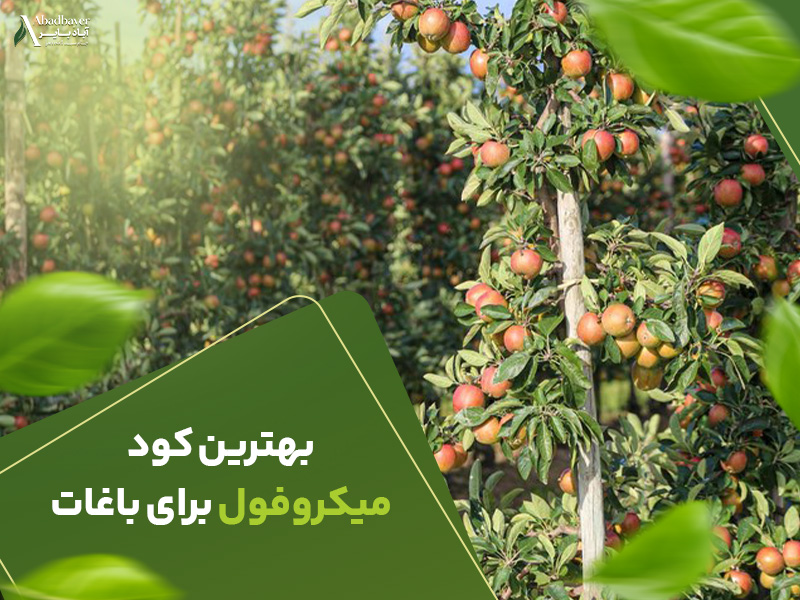 بهترین کود میکروفول برای باغات