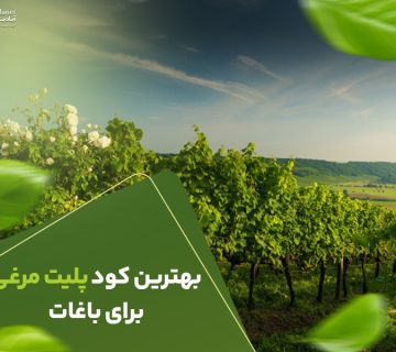 بهترین کود پلیت مرغی برای باغات