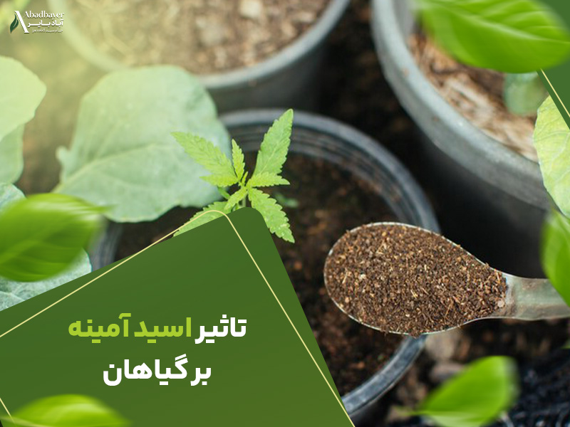 تاثیر اسید امینه بر گیاهان