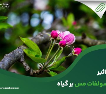 تاثیر سولفات مس برگیاه